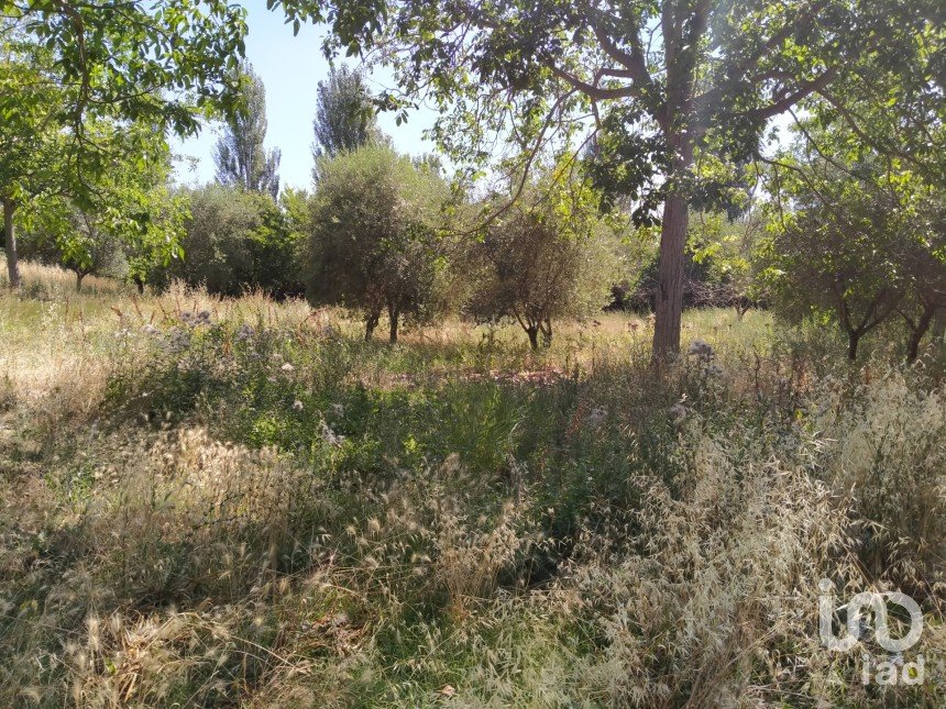 Land of 600 m² in Città Sant'Angelo (65013)