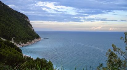 Terreno di 6.628 m² in Sirolo (60020)