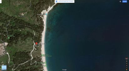 Terreno di 6.628 m² in Sirolo (60020)