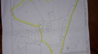 Terreno di 6.628 m² in Sirolo (60020)