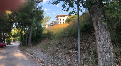 Terreno di 1.180 m² in San Benedetto del Tronto (63074)