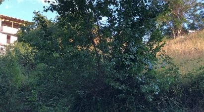 Terreno di 1.180 m² in San Benedetto del Tronto (63074)