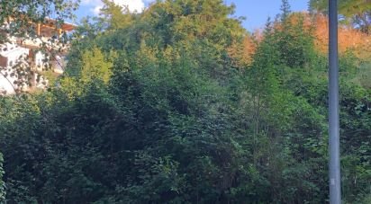 Terreno di 1.180 m² in San Benedetto del Tronto (63074)