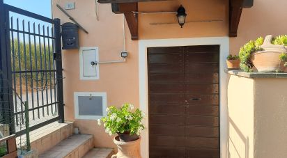 Casa indipendente 0 locali di 250 m² in Montefalco (06036)