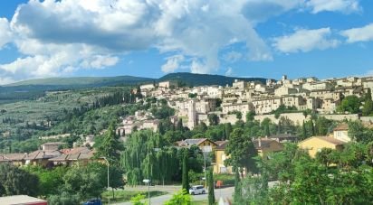 Hotel-ristorante di 1.125 m² in Spello (06038)