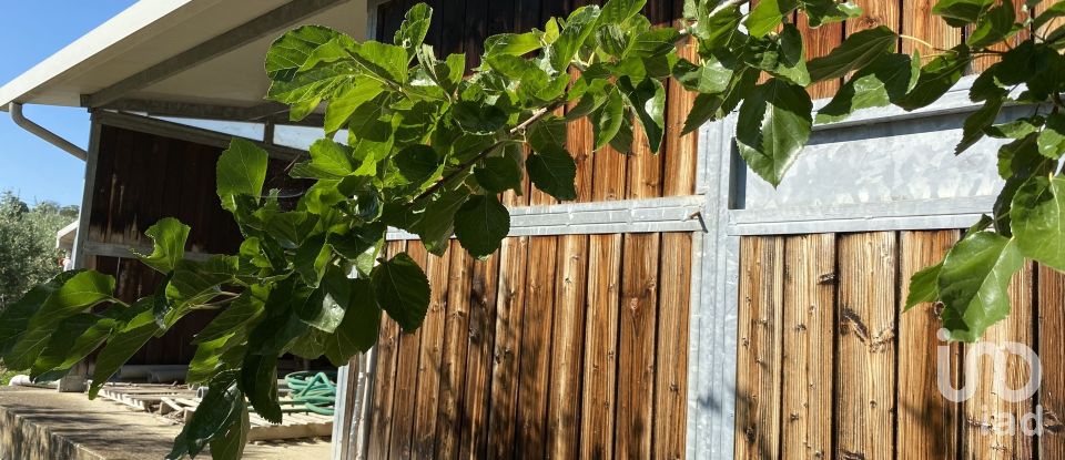 Casa indipendente / Villa 4 locali di 410 m² in Controguerra (64010)