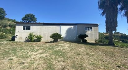 Rustico 12 locali di 450 m² in Petritoli (63848)