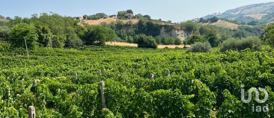 Rustico 12 locali di 450 m² in Petritoli (63848)