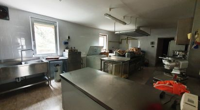 Hotel-ristorante di 2.500 m² in Serra San Quirico (60048)