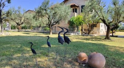 Casa indipendente 8 locali di 320 m² in Ascoli Piceno (63100)