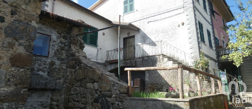Village house 8 rooms of 160 m² in Carro (19012)
