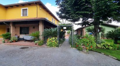 Villa Bifamiliare 14 locali di 1.794 m² in Capua (81043)
