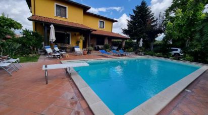 Villa Bifamiliare 14 locali di 1.794 m² in Capua (81043)