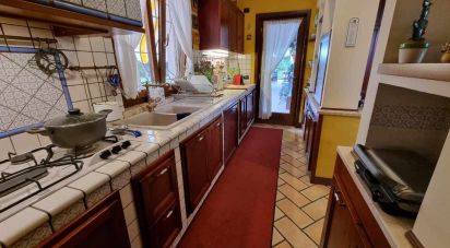 Villa Bifamiliare 14 locali di 1.794 m² in Capua (81043)