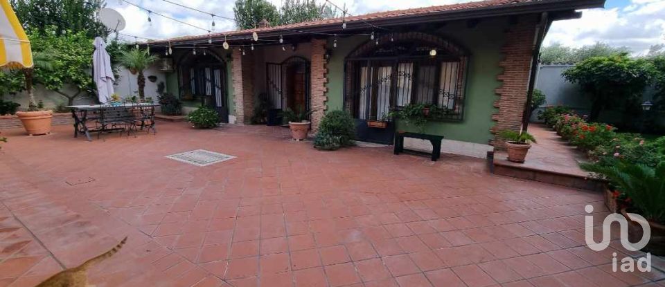 Villa Bifamiliare 14 locali di 1.794 m² in Capua (81043)