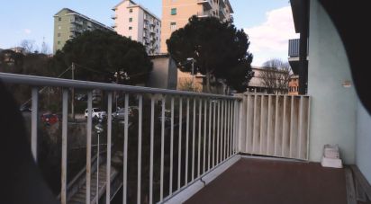 Quadrilocale di 80 m² a Genova (16152)