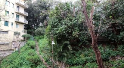 Three-room apartment of 85 m² in Genova (16137)