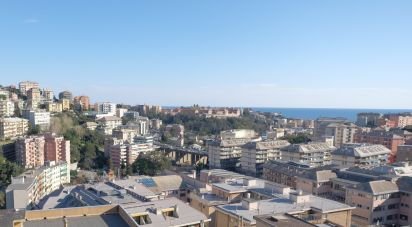 Two-room apartment of 65 m² in Genova (16132)