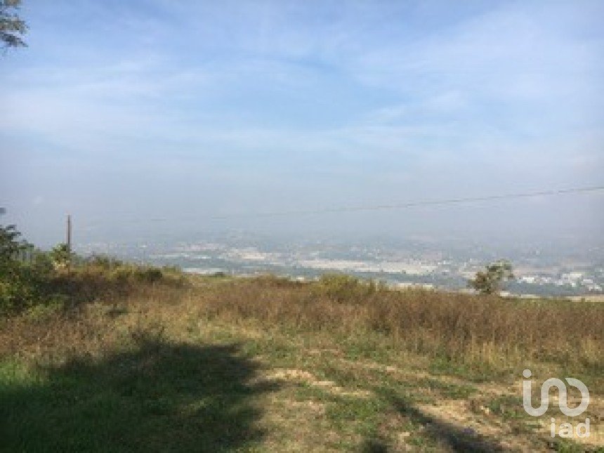 Terreno di 25.000 m² in Colonnella (64010)