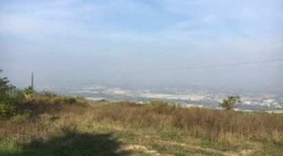 Terreno di 25.000 m² in Colonnella (64010)