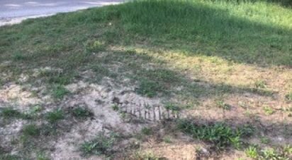 Terreno di 25.000 m² in Colonnella (64010)