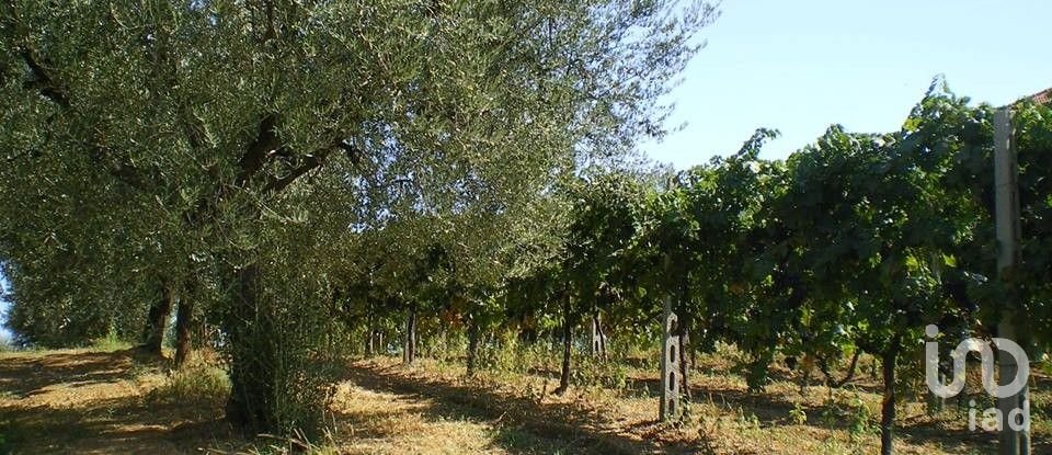 Villa Bifamiliare 20 locali di 420 m² in Colonnella (64010)