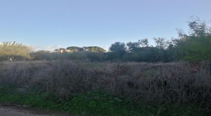 Terreno di 900 m² in Aprilia (04011)