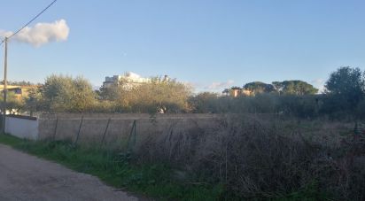 Terreno di 900 m² in Aprilia (04011)