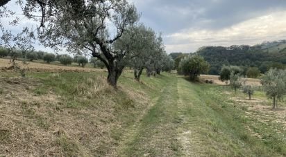 Rustico 4 locali di 165 m² in Controguerra (64010)