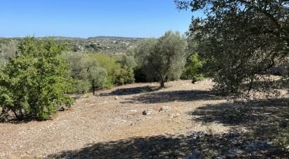 Country house 1 room of 20 sq m in Cisternino (72014)