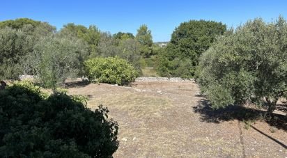 Rustico 1 locale di 20 m² in Cisternino (72014)
