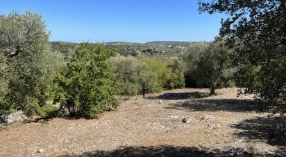Country house 1 room of 20 sq m in Cisternino (72014)