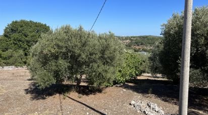 Rustico 1 locale di 20 m² in Cisternino (72014)