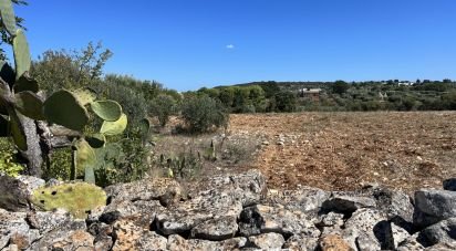 Rustico 1 locale di 30 m² in Cisternino (72014)