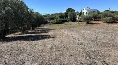 Rustico 1 locale di 30 m² in Cisternino (72014)
