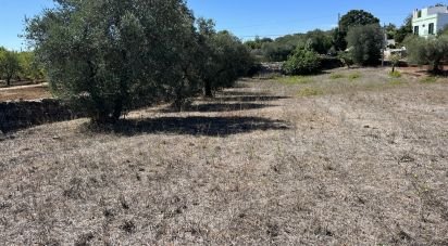 Rustico 1 locale di 30 m² in Cisternino (72014)