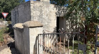 Rustico 1 locale di 20 m² in Ostuni (72017)