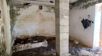 Rustico 1 locale di 20 m² in Ostuni (72017)