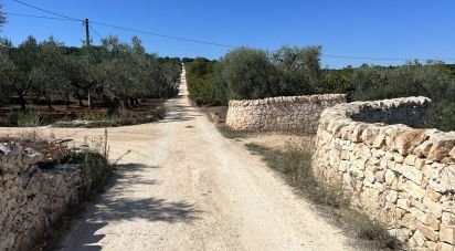 Terreno di 5.500 m² in Ostuni (72017)