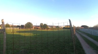 Terreno di 2.700 m² in Ardea (00042)
