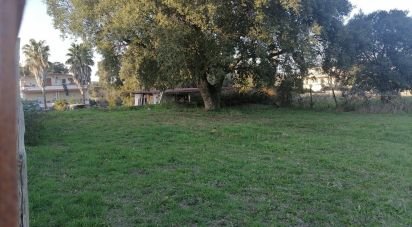 Land of 2,700 m² in Ardea (00042)