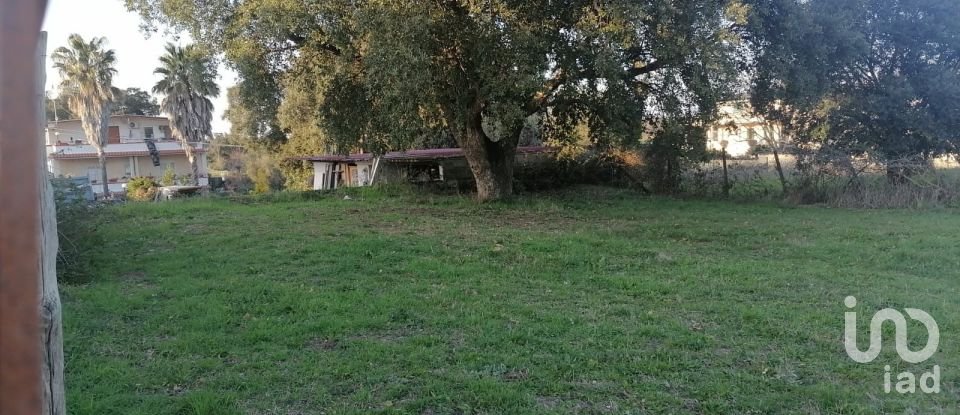 Land of 2,700 sq m in Ardea (00042)