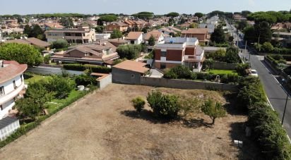 Terreno di 1.390 m² in Anzio (00042)