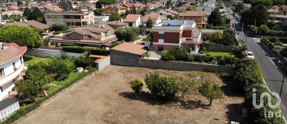 Land of 1,390 m² in Anzio (00042)