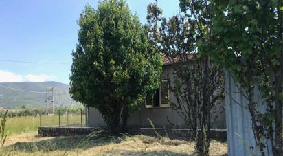 Casa indipendente 4 locali di 85 m² in Roccasecca (03038)