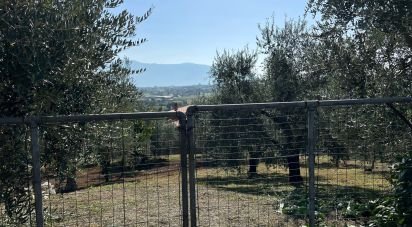 Casa indipendente 11 locali di 240 m² in San Lorenzello (82030)