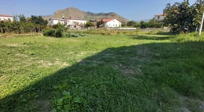 Terreno di 1.060 m² in Amantea (87032)