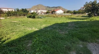 Terreno di 1.060 m² in Amantea (87032)