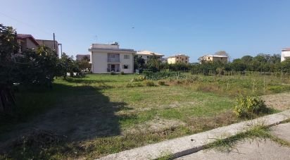 Terreno di 1.060 m² in Amantea (87032)