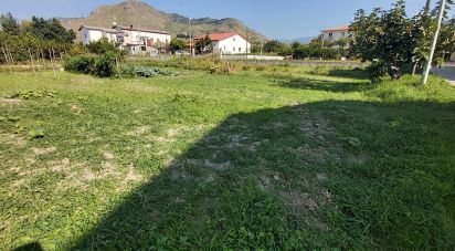 Terreno di 1.060 m² in Amantea (87032)
